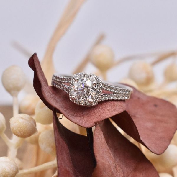 14K White Gold Ladies Diamond Engagement Ring  Image 2 Jones Jeweler Celina, OH