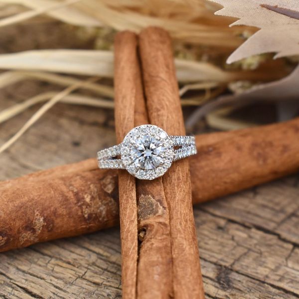14K White Gold Ladies Diamond Halo Engagement Ring Image 2 Jones Jeweler Celina, OH