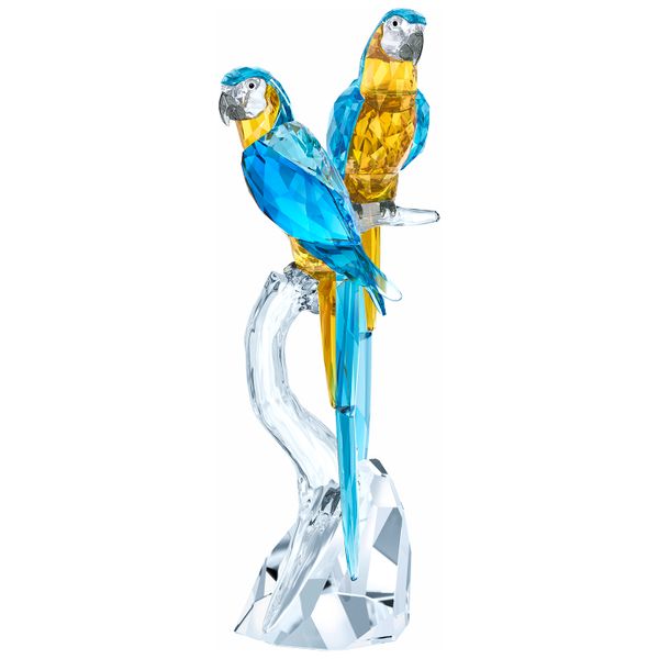 Swarovski Macaws James & Williams Jewelers Berwyn, IL
