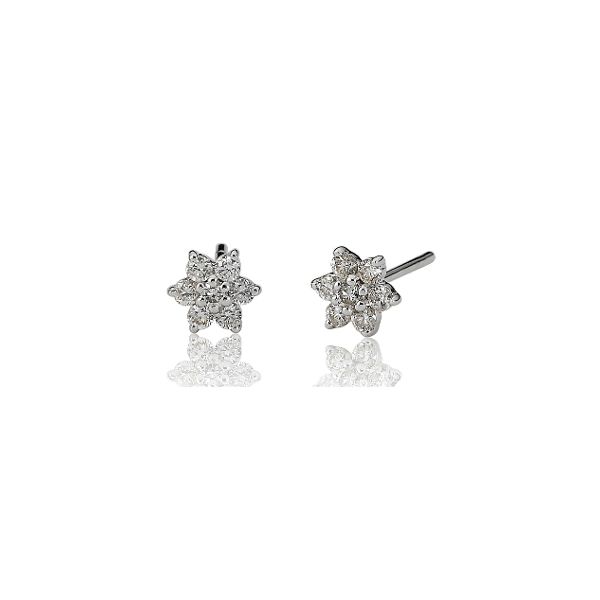 1 ct. tw. Round Cut Diamond Earrings Studs | AE14-017