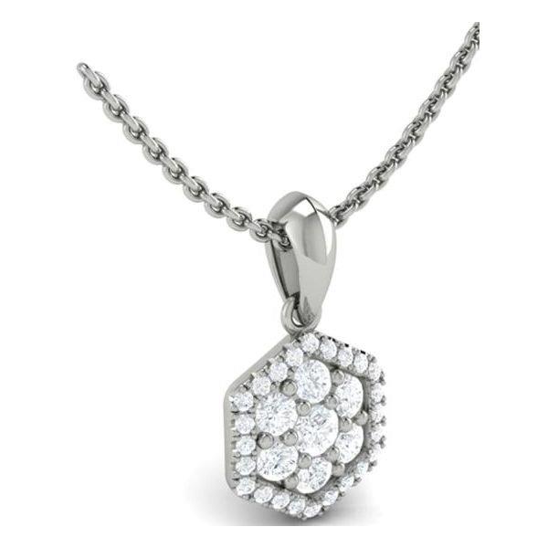 LOVE this hexagon -shaped diamond necklace!!  The beautiful 14 kt white gold hexagon pendant is accented with 7 round diamond