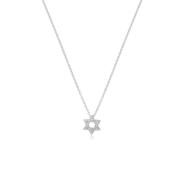 White Gold Dainty Diamond Jewish Star Necklace Peran & Scannell Jewelers Houston, TX