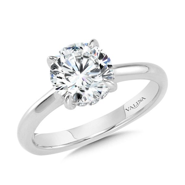 Floating Hidden Halo Solitaire Diamond Engagement Ring Sanders Jewelers Gainesville, FL