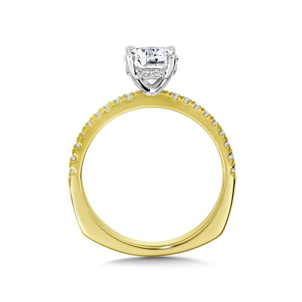 STRAIGHT DIAMOND ENGAGEMENT RING Image 2 Sanders Jewelers Gainesville, FL