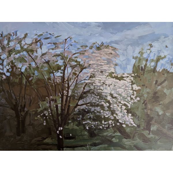  Apple Blossoms - May Spicer Merrifield Saint John, 