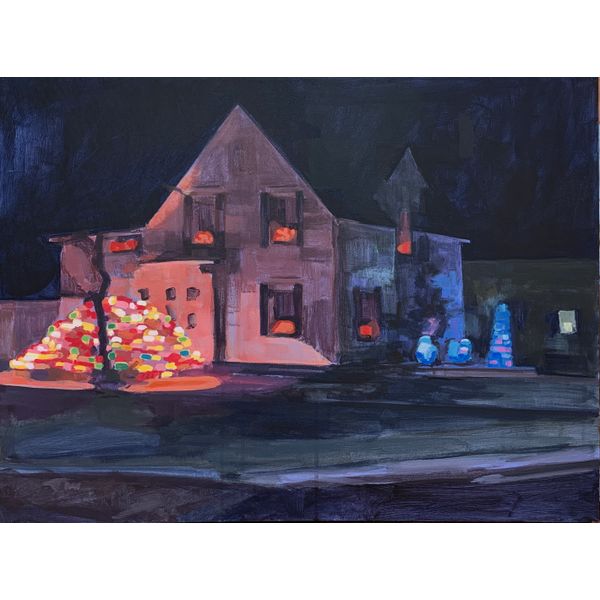  Christmas Lights, Bush - December Spicer Merrifield Saint John, 
