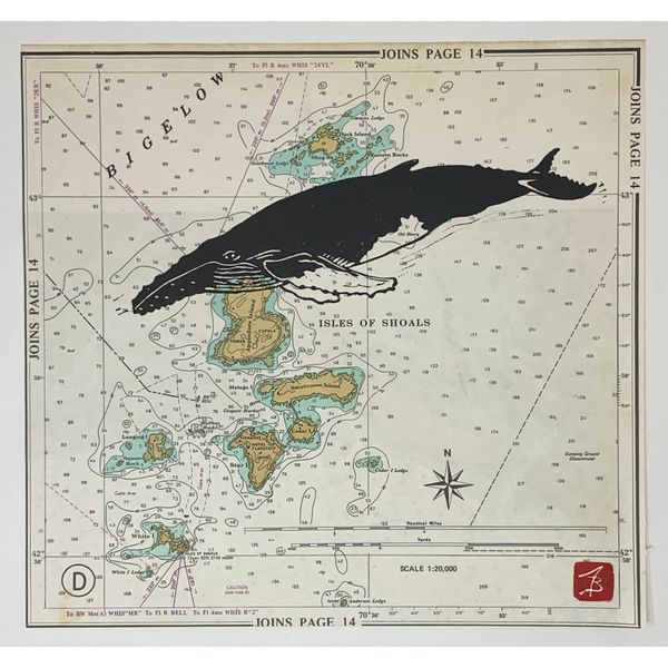 Humpback Whale Spicer Merrifield Saint John, 