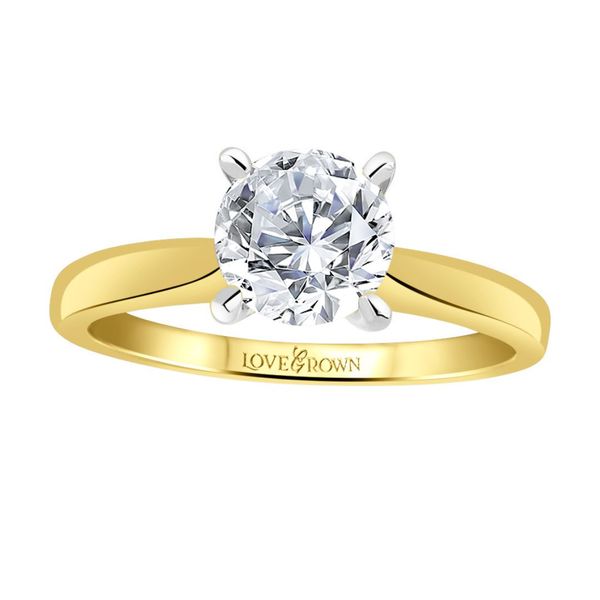 Two-Tone 1.15CT Diamond Solitaire Engagement Ring Vandenbergs Fine Jewellery Winnipeg, MB